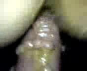 poposex