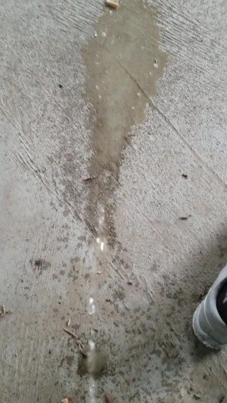 Pissing in public at the park