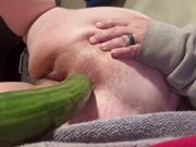 Cucumbers Make Great Toys