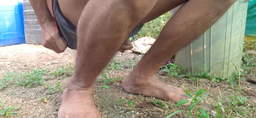 Pee Desi Man Outdoor Pissing thumbnail