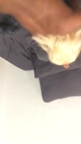 /beam/67a860a3cc498f247e6fa279