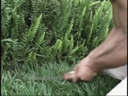 Erotic dude licks sexy shemale's asshole before fucking it