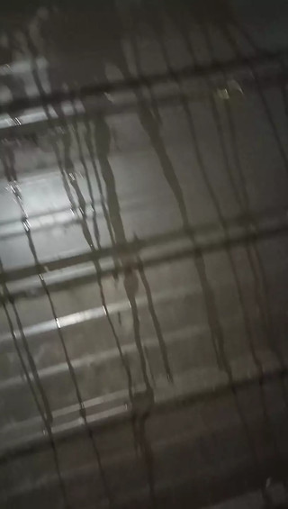 Pee marking fun