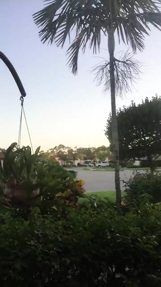 Early Morning Masturbation In The Hood