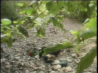 /beam/67a8618ccc498f247e7d1ac1