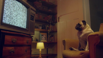 Hot Lesbians - Wild Lesbian Sex With Their Favorite Toys And No Limits - Benefit Monkey