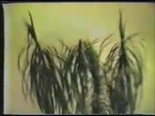 /beam/67a85ed1cc498f247e518403