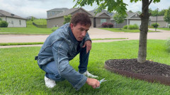 Certified Grass Trimmer