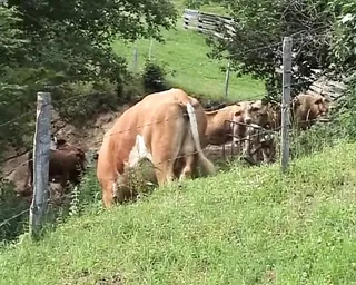 /beam/67a8637ecc498f247e957b12