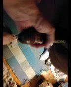 /beam/67a85fc2cc498f247e619ccf