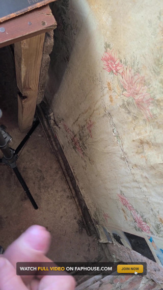 Masturbation 337