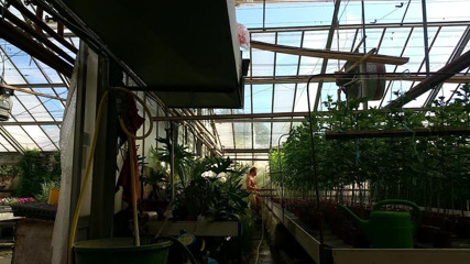 2015 September another naked watering in the work with jerki