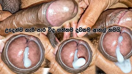 /beam/67a8637bcc498f247e954eac