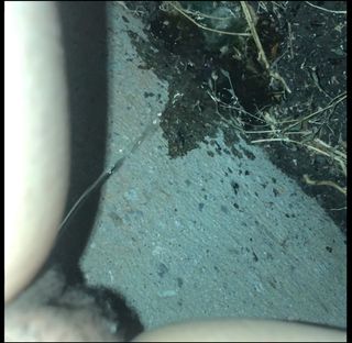 /beam/67a8617dcc498f247e7c533c