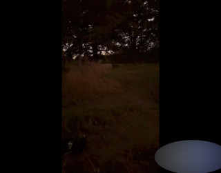 Totally naked as cars pass me at side of road