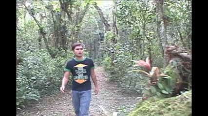 Gay Outdoor Horny Fucks - a Big Cock up to My Wet Asshole Nr 2