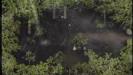 /beam/67a86322cc498f247e90c50a