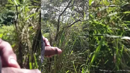 /beam/67a86270cc498f247e882179