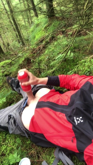 Tenga in Scottish forest