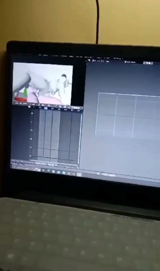Animation video verification