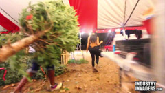 Oh Christmas Tree