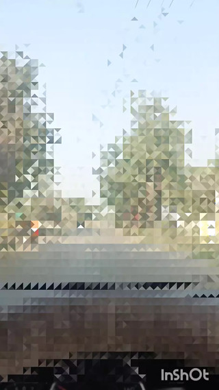Indian man masturbating his dick when no one at home