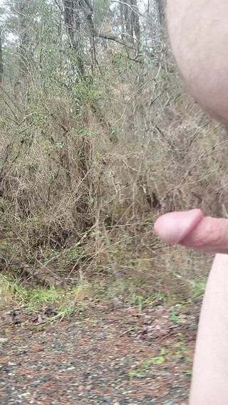 Walking down an old road.