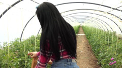 Yasmin, Sexy Tomatoes.