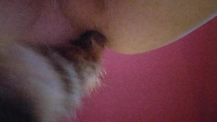 Sissy Joslin Shaking Her Tailplug