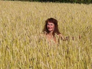 In the field of golden wheat