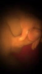 CUMSHOT! Me jurking my cock off in a Hotel..