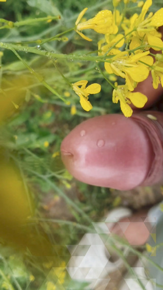 "I went to the mustard field and saw my stepaunt and started jerking