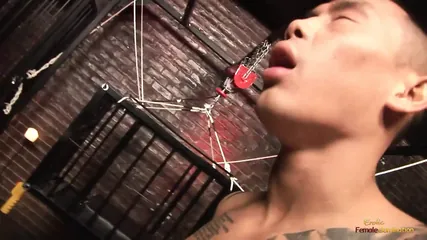 /beam/67a862cdcc498f247e8c9148