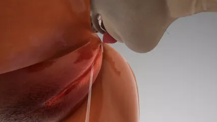 /beam/67a861ffcc498f247e82997e