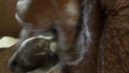 masturbation shower