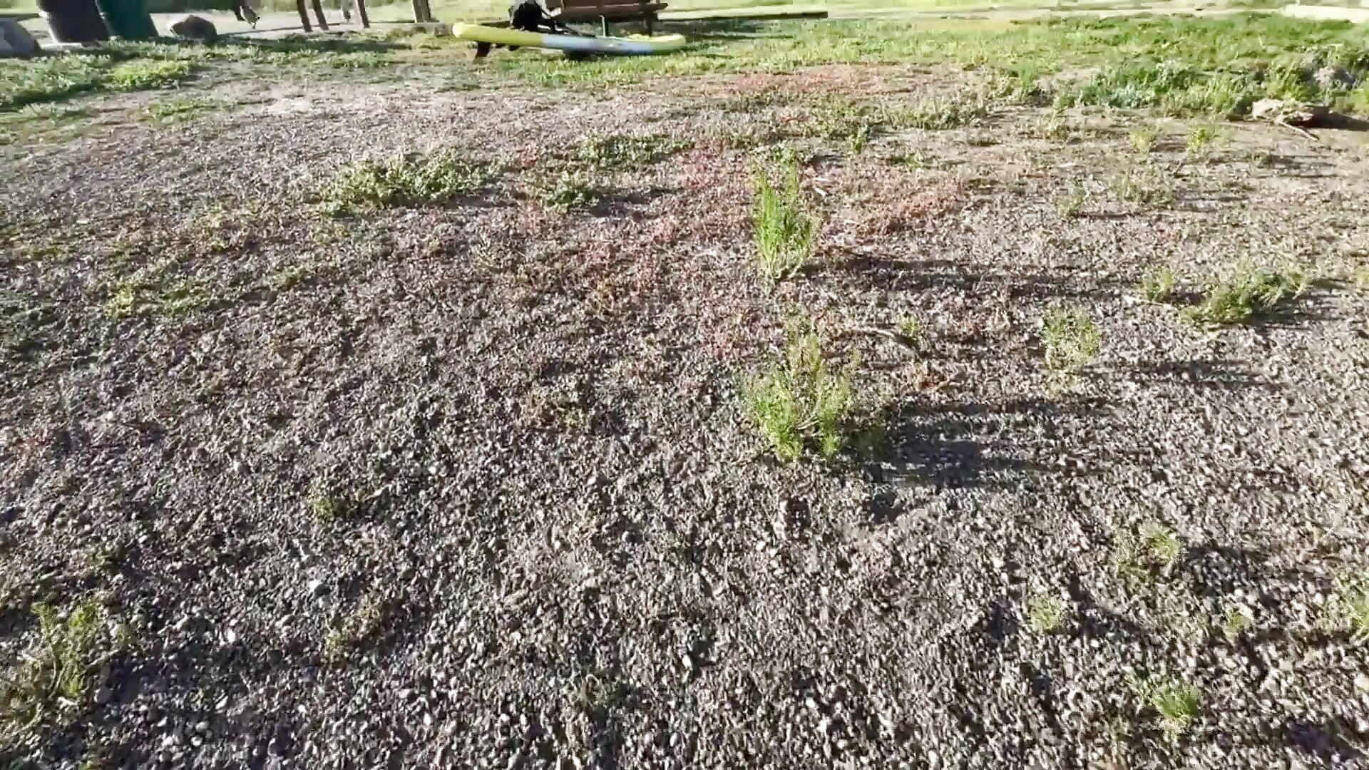 Anal Destroyed by 9inch Big Dick Lake Adventure Part 1