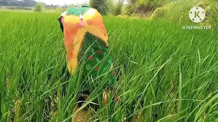 /beam/67a8633dcc498f247e922856