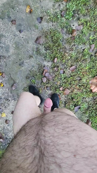 Enjoyed a walk around a new park.