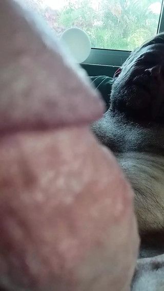 Ass Sharing Double Jo 4u