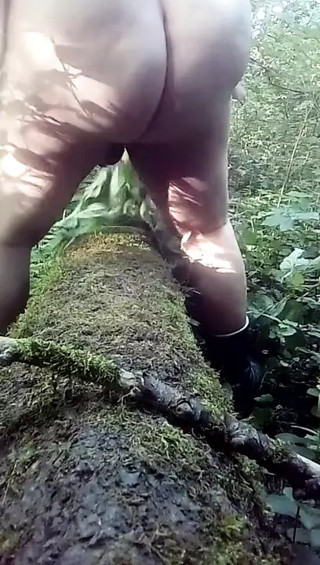 Nettles