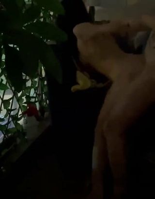 /beam/67a86177cc498f247e7bf725