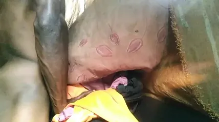 /beam/67a862e3cc498f247e8dacf0