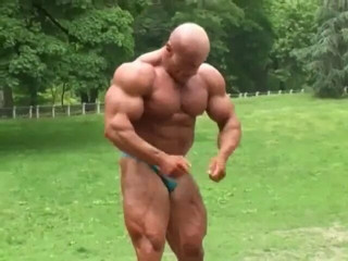 Roidbull