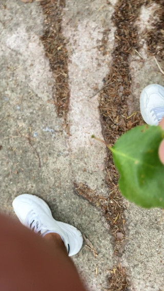 Masturbating and naked in public forest