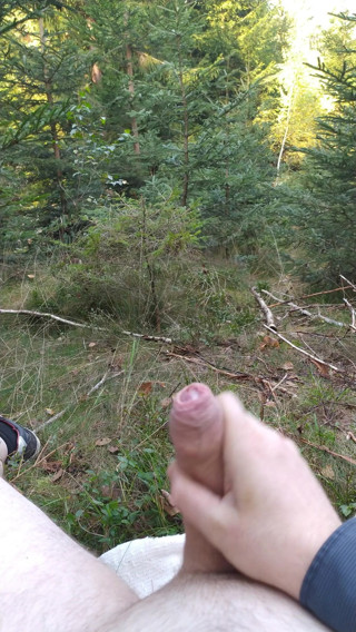 this is how I played while walking in the woods