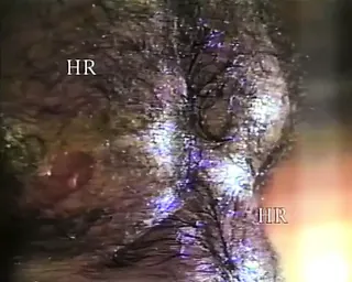 /beam/67a861d8cc498f247e80bc7a