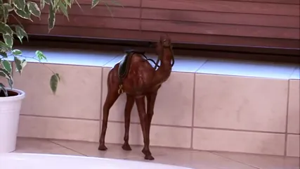 /beam/67a86267cc498f247e87a7ee