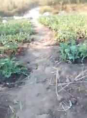 African amateur naked in the bush