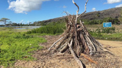 Paiko Fishpond, East Oahu, Hawaii