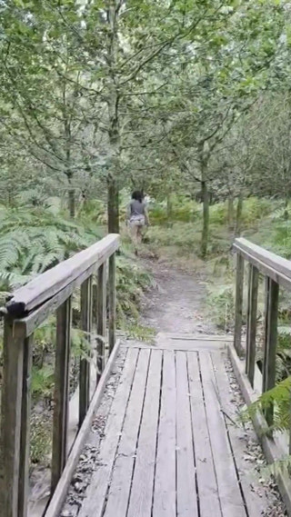 Sexy arse wife flashing in the woods